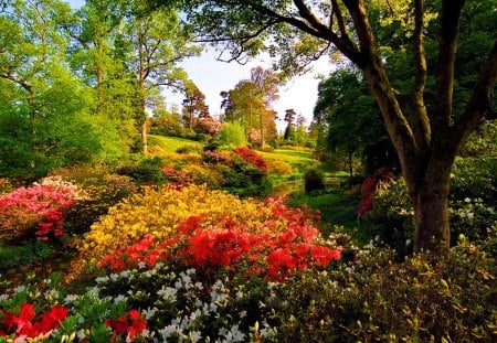 Leonardslee gardens-UK - nice, freshness, trees, greenery, landmark, colorful, summer, lovely, bushes, nature, pretty, uk, beautiful, flowers, garden