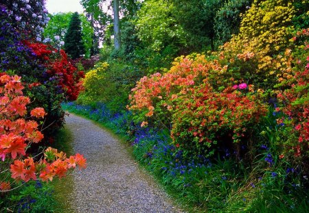 Flowery garden - nice, trees, fragrance, greenery, colorful, spring, pretty, uk, scent, garden, park, summer, lovely, bushes, leonardslee, nature, floral, beautiful, alley, flowery, flowers