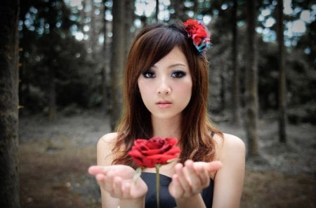 For You - trees, red rose, people, girl, models, celebrity, flowers, forests, nature, rose, taiwan