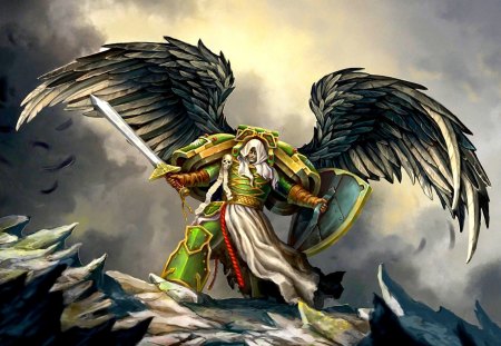 THE WARRIOR - warhammer, art, feathers, warrior, wings, shield, weapon, rock