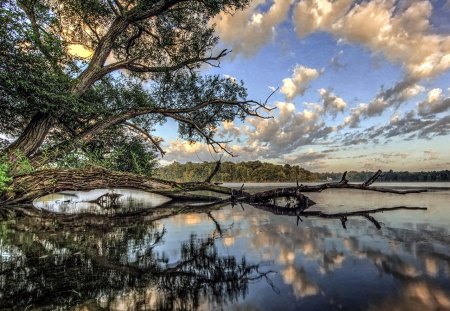 Nature's Artwork - lake, trees, nature, clouds