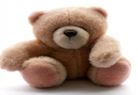 Teddy bear - bear, photography, teddy, teddy bear, nice, photo, cool, toy