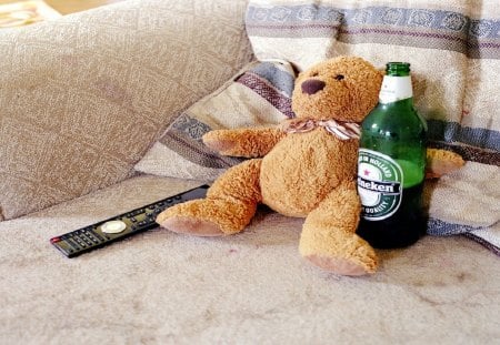 Relax - cool, photo, relax, toy, bear, teddy bear, nice, teddy, photography