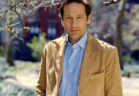 david_duchovny - jacket, shirt, leaves, trees, man