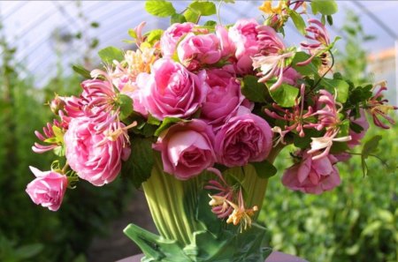 Beautiful flowers - roses, honeysuckle, beauty, colors, pink, bouquet, flowers, nature, scent, gift