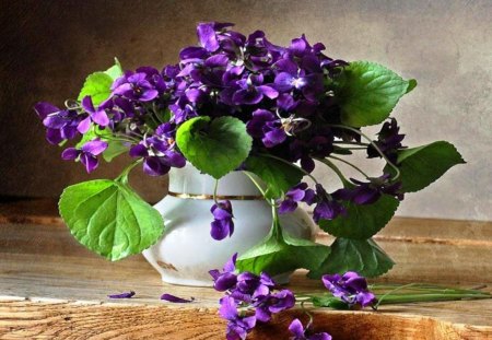 Violets - blooming, violet, vase, spring, nature, white, green, leaves, violets, flowers, small