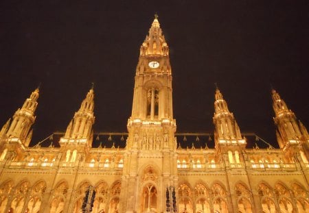 Rathaus cathedral - rathaus, gothic, church, architecture, medieval, cathedral, fantasy, vienna, nice