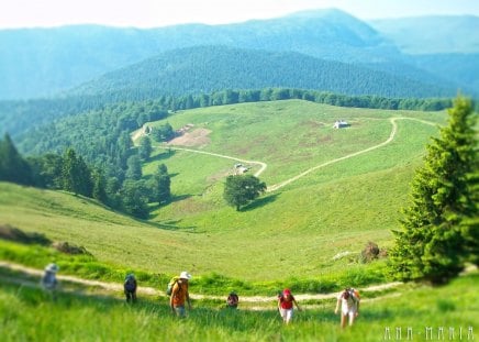 Ciucas Mountain Romania - Mountain, Romania, Ciucas mountain, Ciucas