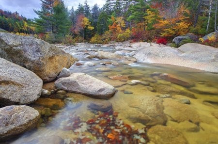 wonderful mountain stream in autumn - autumn, stream, forest, mountain, rocks