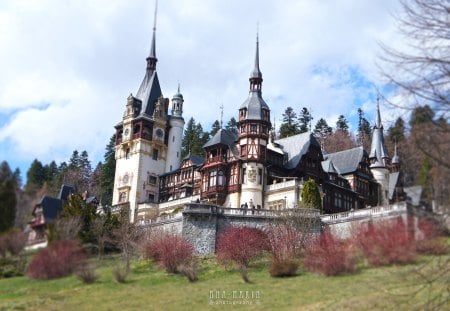 Peles Castle Romania - peles, romania, castle, castel