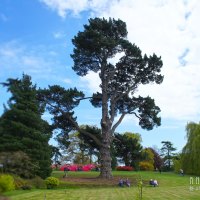 Folkestone Park