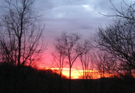 Morning Sunrise in March - trees, sunset, nature, gorgeous, sunrise, color, sky