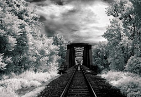 wondrous railway bridge - monochrome, forest, clouds, tracks, bridge