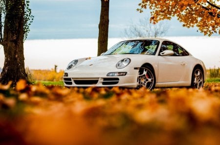 porsche autumn - leaves, autumn, porsche, car