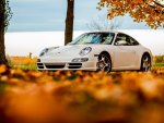 porsche autumn