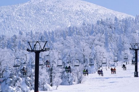 ski in chepelare - snow, ice, tree, sky