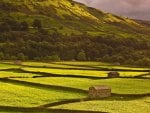 fenced pastures in a green valley