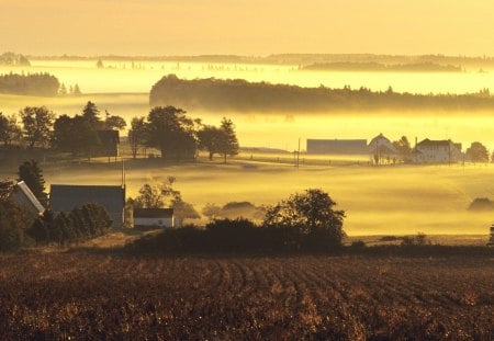 farms in yellow morning mist - fams, morning, yellow, fields, mist