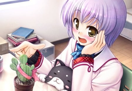 Ouch that Hurt - torns, female, hot, brown eyes, anime girl, book, castus, box, table, anime, plant, cute, short hair, hurt, sexy, cat, girl, kitty, ached, purple hair, kitten, cup, pain, animal, blush, torn