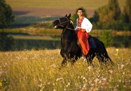 Black Stallion - horse, riding, black, man