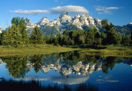 Mirror Image - lake, mountain, trees, reflection