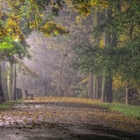 magnificent path in a park at night hdr