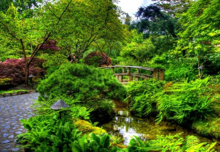 BEAUTIFUL PARK - green, park, bridge, spring