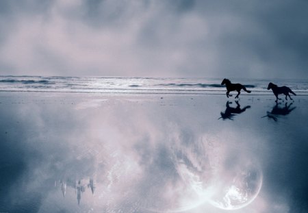 Free in a fantasy land  - moon, ocean, beach, black, fantasy, run, free, horse, castle, blue, animal, sea