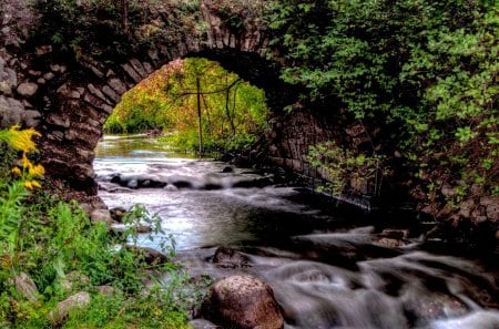 RIVER FLOW - stream, vegetation, bridges, rocks