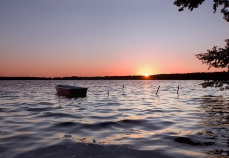 boat on a lake at sunst - lake, tree, sunset, boat