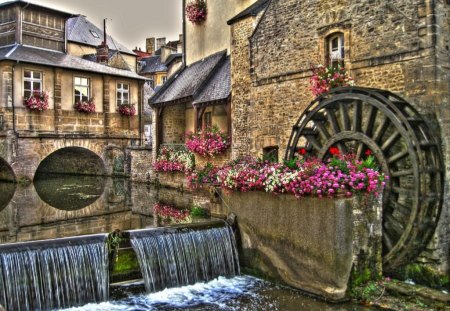 Mill - street, flower, river, flowers, mill, photo, city