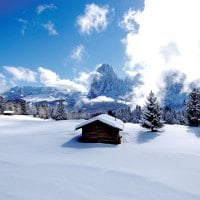 cabins on a wintry meadow