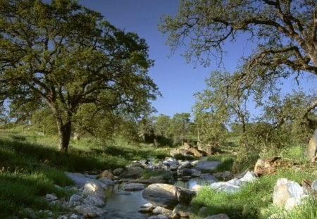 field - field, fun, nature, river