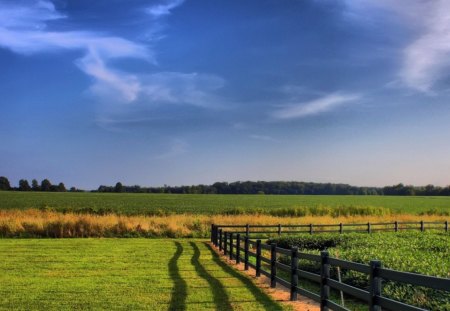 field - nature, fun, field, clouds