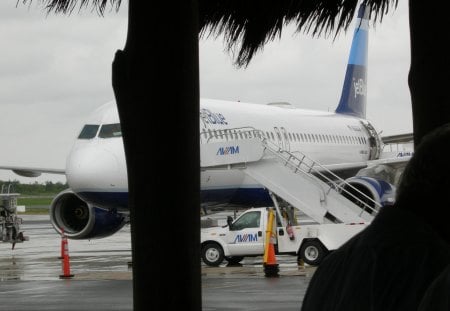 Jetblue A320 - Punta Cana - airport, jetblue, a320, punta cana