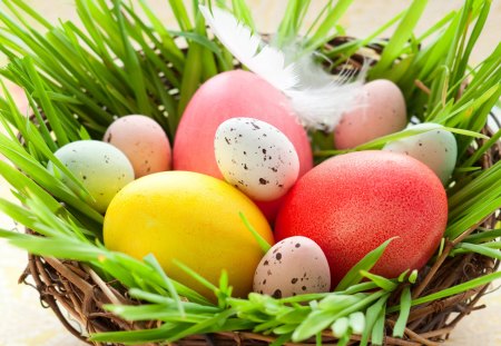 *** Easter *** - easter, basket, spring, eggs, holidays, holiday, food, grass, happy