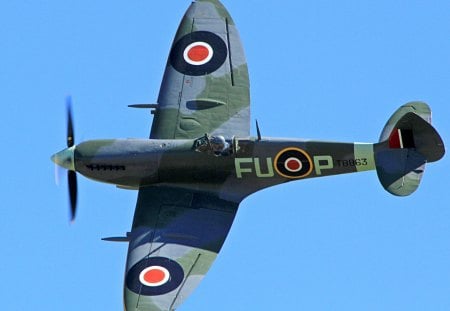 spitfire