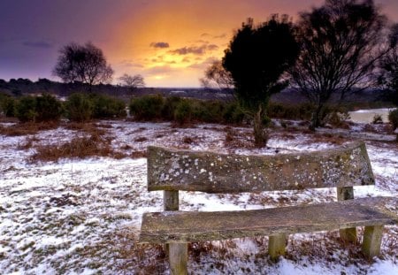 WINTER SUNSET - field, bench, sunset