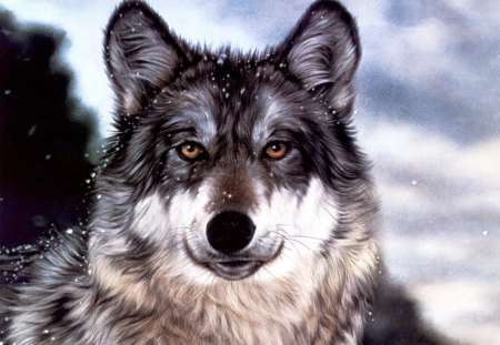 Pretty Face - wolf, painting, wolves, predator, artwork, portrait