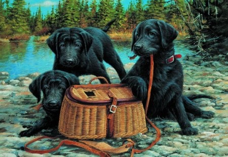 Black dogs - black, cute, beautiful, dogs, river, pretty, water, sweet, shore, art, lake, puppies, bag, friends, lovely, riverbank, trees, painting, calm