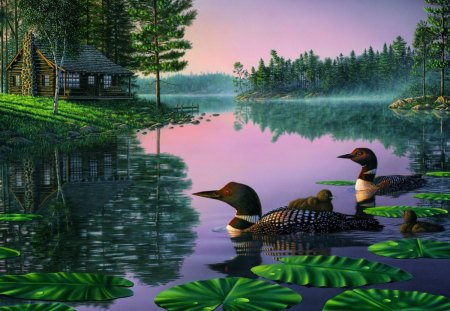 Lake calmness - nice, trees, riverbank, greenery, clear, mirrored, painting, quiet, pretty, reflection, evening, calmness, river, dusk, lilies, lake, summer, shore, lovely, serenity, tranquility, ducks, beautiful, colors