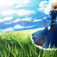 Fate Stay Field