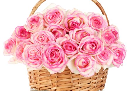 Pink Roses - beauty, roses, basket, rose, with love, white, petals, pink roses, pink petals, for you, lovely, nature, pink, beautiful, card, flowers, flower