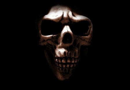 Beauty Of A Gothic Skull - beauty, skull