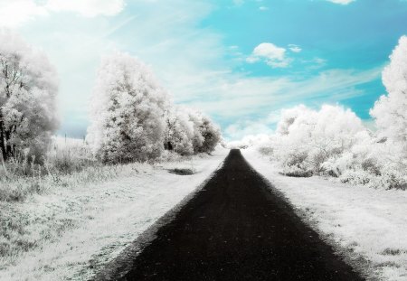 LONG WINTER ROAD - nature, others