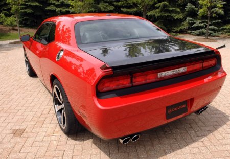 Dodge Challenger SRT10 Concept 2009 - challenger, srt10, concept, dodge, 2009