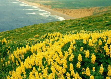 California - beautifull, beach