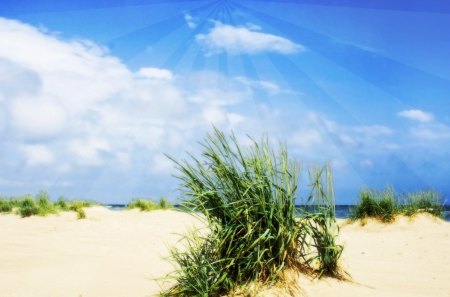 Saltwater - beach, nature, calm, landscape