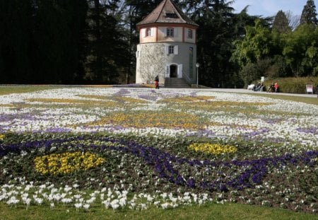 spring mainau  - nature, landscape