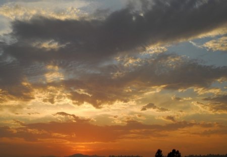 sunset over a forest  - forest, sunset